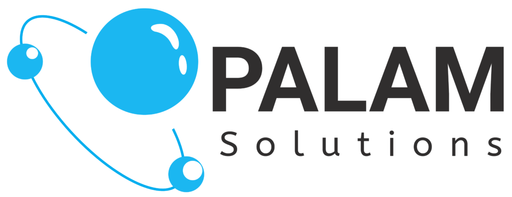 Website Solutions: Palam Solutions
